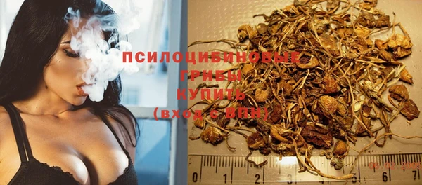 2c-b Алзамай