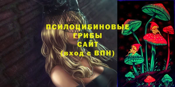 бошки Алексеевка