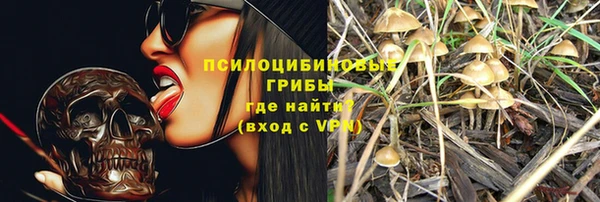 бошки Алексеевка