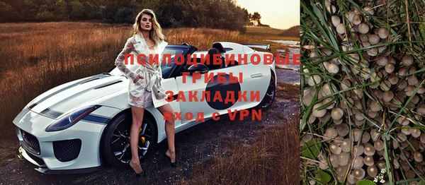 2c-b Алзамай